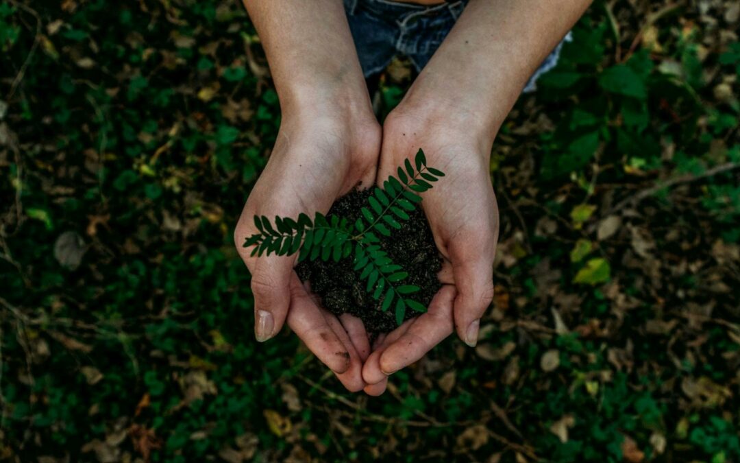 La fabrication d’Artemat répond-elle aux besoins du développement durable ?